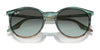 Ray-Ban RB2204 Sunglasses / Black №901/32 / Light Grey (2N 33.3%) / Size 51