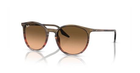 Ray-Ban RB2204 Sunglasses