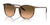 Ray-Ban RB2204 Sunglasses / Striped Brown & Red №13953B