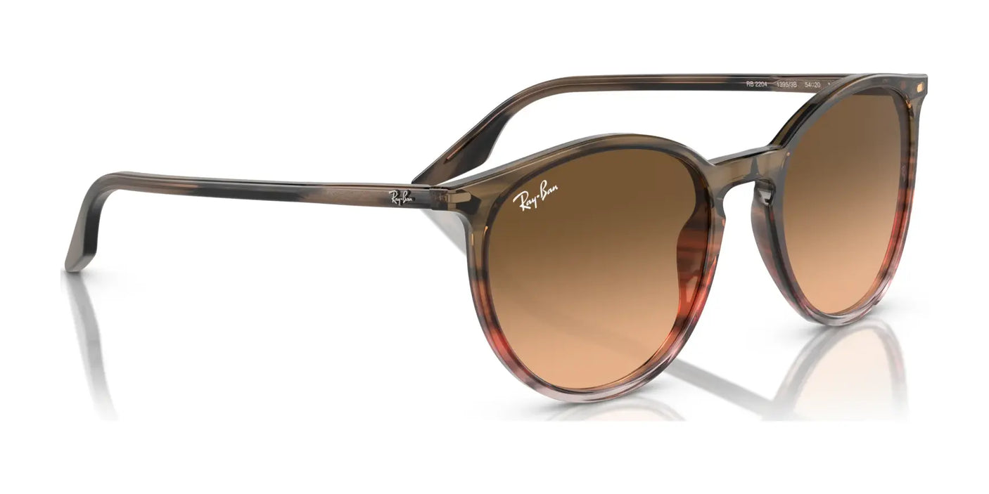 Ray-Ban RB2204 Sunglasses