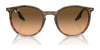 Ray-Ban RB2204 Sunglasses / Black №901/32 / Light Grey (2N 33.3%) / Size 51