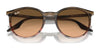 Ray-Ban RB2204 Sunglasses / Black №901/32 / Light Grey (2N 33.3%) / Size 51