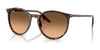 Ray-Ban RB2204 Sunglasses / Havana Red Turtle №14293B / Pink Gradient Black (2N 27.6%) / Size 51
