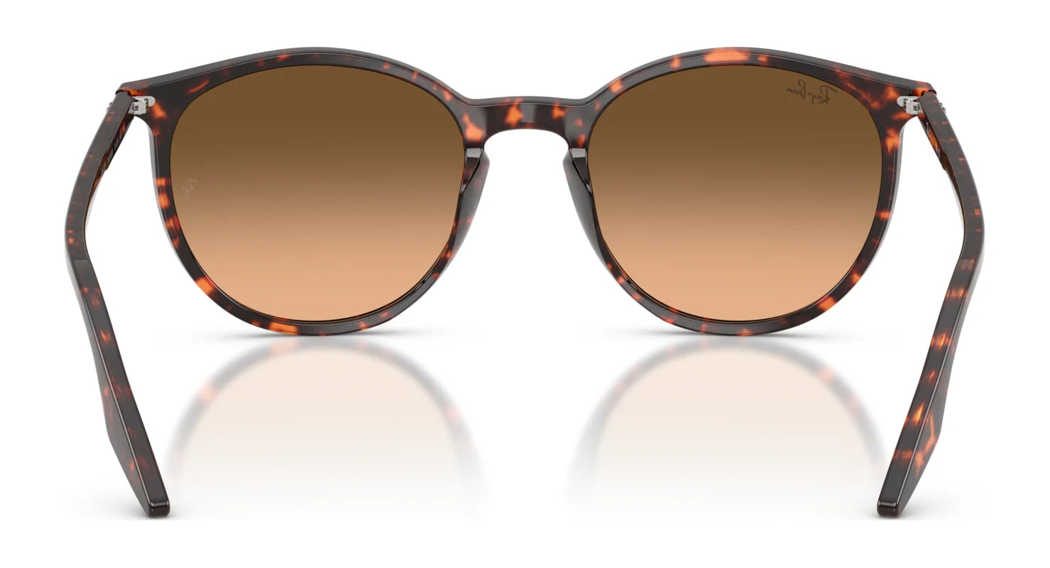 Ray-Ban RB2204 Sunglasses