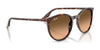 Ray-Ban RB2204 Sunglasses / Black №901/32 / Light Grey (2N 33.3%) / Size 51