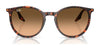Ray-Ban RB2204 Sunglasses / Black №901/32 / Light Grey (2N 33.3%) / Size 51