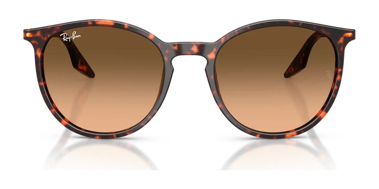 Ray-Ban RB2204 Sunglasses