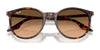 Ray-Ban RB2204 Sunglasses / Black №901/32 / Light Grey (2N 33.3%) / Size 51