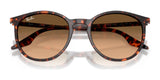 Ray-Ban RB2204 Sunglasses