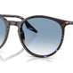 Havana Blue Turtle №14303F