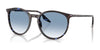 Ray-Ban RB2204 Sunglasses / Havana Blue Turtle №14303F / Clear Gradient Blue (2N 29.9%) / Size 51