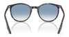 Ray-Ban RB2204 Sunglasses / Black №901/32 / Light Grey (2N 33.3%) / Size 51
