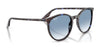 Ray-Ban RB2204 Sunglasses / Black №901/32 / Light Grey (2N 33.3%) / Size 51
