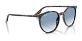 Ray-Ban RB2204 Sunglasses