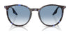 Ray-Ban RB2204 Sunglasses / Black №901/32 / Light Grey (2N 33.3%) / Size 51