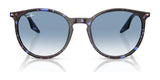 Ray-Ban RB2204 Sunglasses