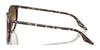 Ray-Ban RB2204 Sunglasses / Black №901/32 / Light Grey (2N 33.3%) / Size 51