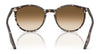 Ray-Ban RB2204 Sunglasses / Black №901/32 / Light Grey (2N 33.3%) / Size 51