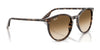 Ray-Ban RB2204 Sunglasses / Black №901/32 / Light Grey (2N 33.3%) / Size 51