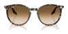 Ray-Ban RB2204 Sunglasses / Black №901/32 / Light Grey (2N 33.3%) / Size 51