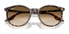 Ray-Ban RB2204 Sunglasses / Black №901/32 / Light Grey (2N 33.3%) / Size 51