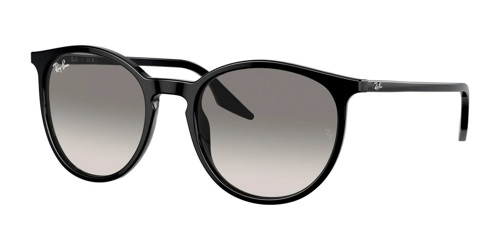 Ray-Ban RB2204 Sunglasses Black / Light Grey