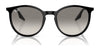 Ray-Ban RB2204 Sunglasses / Black №901/32 / Light Grey (2N 33.3%) / Size 51