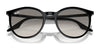 Ray-Ban RB2204 Sunglasses / Black №901/32 / Light Grey (2N 33.3%) / Size 51