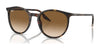 Ray-Ban RB2204 Sunglasses / Havana №902/51 / Light Brown (2N 30.5%) / Size 51