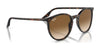 Ray-Ban RB2204 Sunglasses / Black №901/32 / Light Grey (2N 33.3%) / Size 51