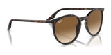 Ray-Ban RB2204 Sunglasses