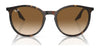 Ray-Ban RB2204 Sunglasses / Black №901/32 / Light Grey (2N 33.3%) / Size 51