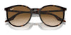 Ray-Ban RB2204 Sunglasses / Black №901/32 / Light Grey (2N 33.3%) / Size 51