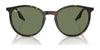 Ray-Ban RB2204 Eyeglasses / Havana №902/GJ / Clear/Green (Photochromic) (3F 13.44%) / Size 51