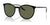 Ray-Ban RB2204 Sunglasses / Black On Transparent №919/58