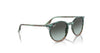 Ray-Ban RB2204F Sunglasses | Size 54 / Black №901/32 / Light Grey (2N 33.3%)