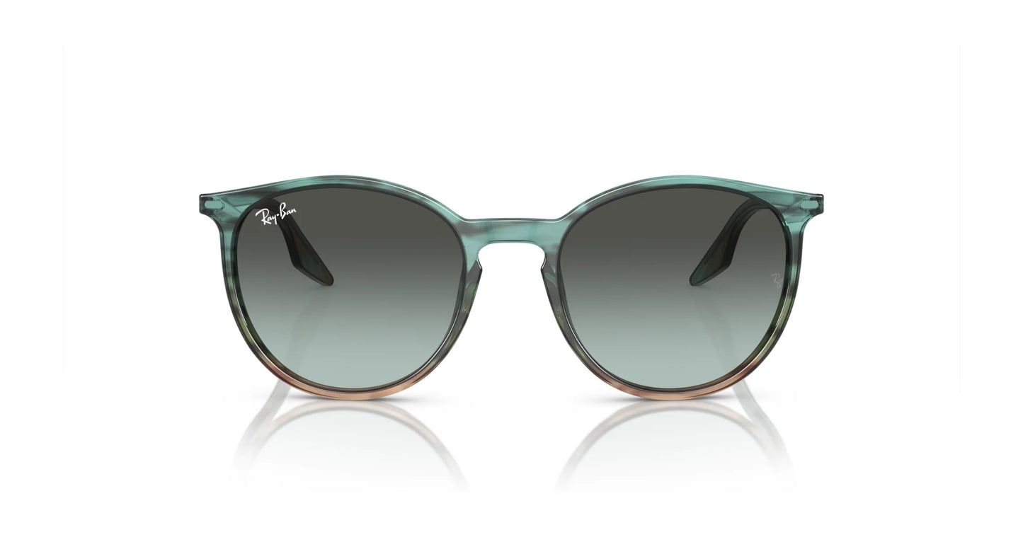 Ray-Ban RB2204F Sunglasses | Size 54