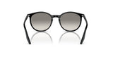 Ray-Ban RB2204F Sunglasses | Size 54