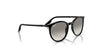 Ray-Ban RB2204F Sunglasses | Size 54 / Black №901/32 / Light Grey (2N 33.3%)