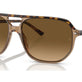 Havana On Transparent Brown №1292M2