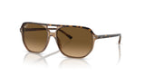 Ray-Ban BILL ONE RB2205 Sunglasses Havana On Transparent Brown / Brown (Polarized)