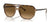 Ray-Ban BILL ONE RB2205 Sunglasses / Havana On Transparent Brown №1292M2