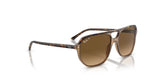 Ray-Ban BILL ONE RB2205 Sunglasses