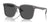 Ray-Ban RB2206D Sunglasses | Size 57 / Transparent Grey №139987
