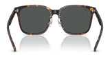 Ray-Ban RB2206D Sunglasses | Size 57