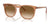 Ray-Ban RB2210 Sunglasses | Size 53 / Transparent Brown №676451
