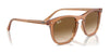 Ray-Ban RB2210 Sunglasses | Size 53 / Black №901/31 / Green (3N 13.2%)