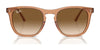 Ray-Ban RB2210 Sunglasses | Size 53 / Black №901/31 / Green (3N 13.2%)