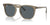 Ray-Ban RB2210 Sunglasses | Size 53 / Transparent Brown №6765R5