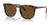 Ray-Ban RB2210 Sunglasses | Size 53 / Havana №902/57